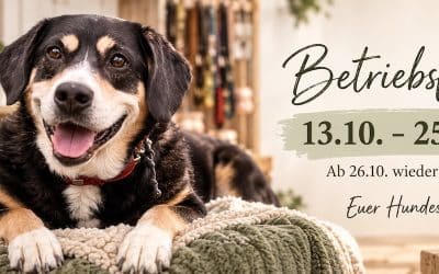Wichtige Info: Urlaub Hundestübchen vom 13.10.2026