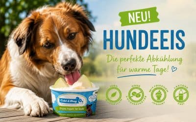 Hundeeis für Hunde