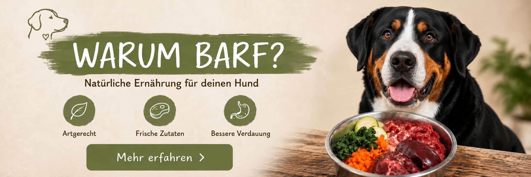 Warum Bart
