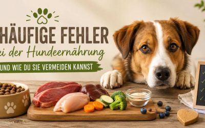 5 häufige Fehler bei der Hundeernährung – und wie du sie vermeiden kannst